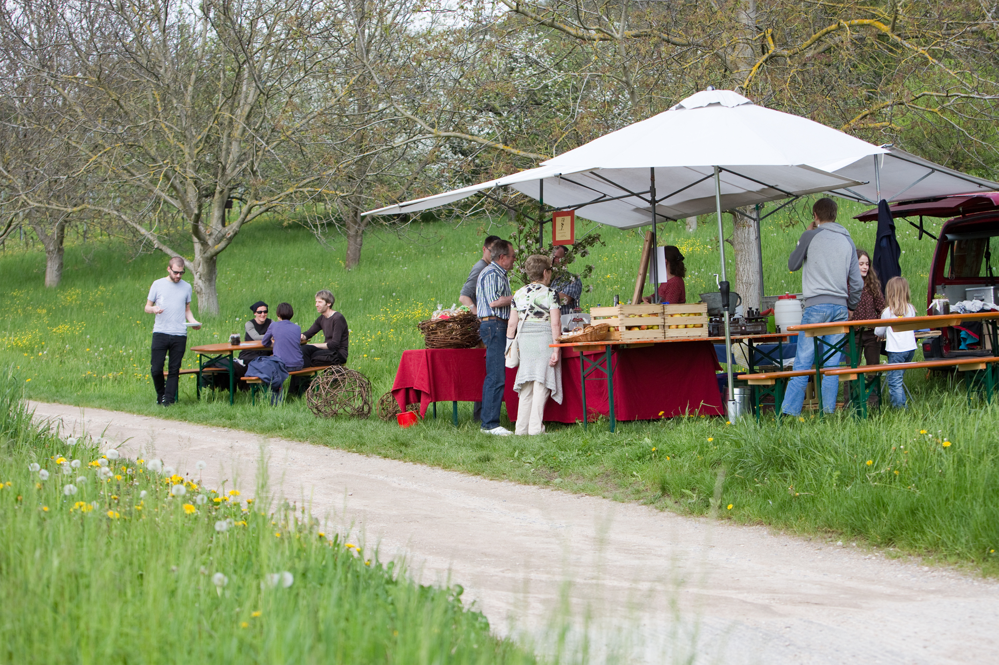 Rebensonntag in Haltingen