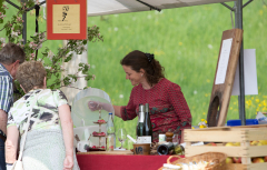 Rebensonntag in Haltingen