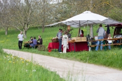 Rebensonntag in Haltingen